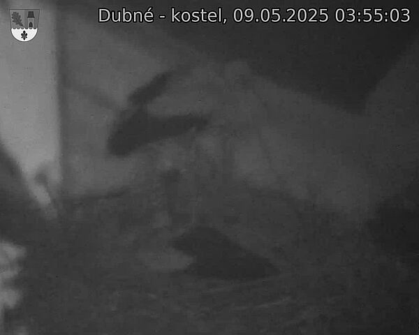 Capi_Dubne_20250509_035503.jpg (1350 x 1080)