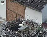 Capi_Dubne_20250509_145503.jpg