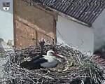 Capi_Dubne_20250509_150002.jpg