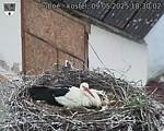 Capi_Dubne_20250509_183002.jpg