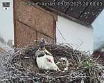 Capi_Dubne_20250509_200003.jpg