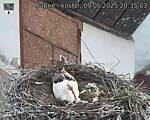 Capi_Dubne_20250509_203503.jpg