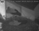 Capi_Dubne_20250509_212003.jpg