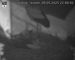 Capi_Dubne_20250509_220002.jpg