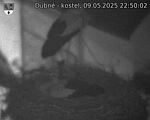 Capi_Dubne_20250509_225003.jpg