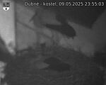 Capi_Dubne_20250509_235503.jpg
