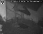 Capi_Dubne_20250510_000002.jpg