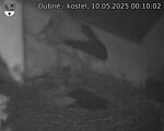 Capi_Dubne_20250510_001002.jpg