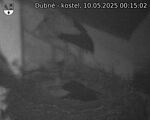 Capi_Dubne_20250510_001502.jpg