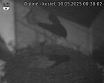 Capi_Dubne_20250510_003002.jpg