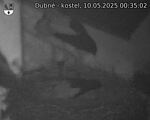 Capi_Dubne_20250510_003502.jpg
