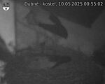 Capi_Dubne_20250510_005502.jpg