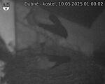 Capi_Dubne_20250510_010002.jpg