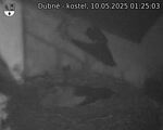 Capi_Dubne_20250510_012503.jpg
