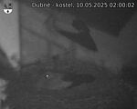 Capi_Dubne_20250510_020002.jpg