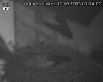 Capi_Dubne_20250510_022002.jpg