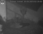 Capi_Dubne_20250510_023502.jpg