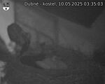 Capi_Dubne_20250510_033503.jpg