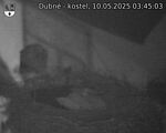 Capi_Dubne_20250510_034503.jpg
