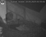 Capi_Dubne_20250510_035502.jpg