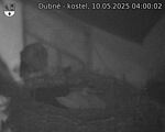 Capi_Dubne_20250510_040002.jpg
