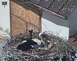 Capi_Dubne_20250510_131503.jpg