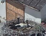Capi_Dubne_20250510_141503.jpg