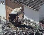 Capi_Dubne_20250510_145503.jpg