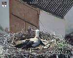 Capi_Dubne_20250510_163002.jpg