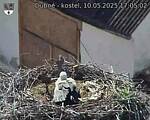 Capi_Dubne_20250510_170502.jpg