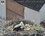 Capi_Dubne_20250510_180003.jpg