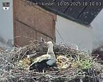 Capi_Dubne_20250510_181003.jpg