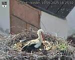 Capi_Dubne_20250510_182502.jpg