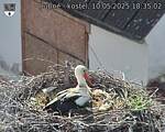 Capi_Dubne_20250510_183502.jpg