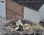 Capi_Dubne_20250510_185503.jpg