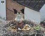 Capi_Dubne_20250510_190002.jpg