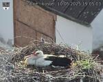 Capi_Dubne_20250510_190503.jpg