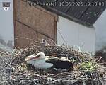 Capi_Dubne_20250510_191003.jpg