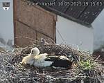 Capi_Dubne_20250510_191503.jpg
