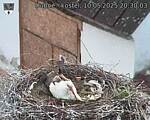 Capi_Dubne_20250510_203003.jpg