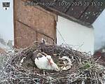 Capi_Dubne_20250510_203502.jpg
