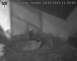 Capi_Dubne_20250510_212003.jpg