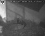Capi_Dubne_20250510_213003.jpg