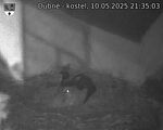 Capi_Dubne_20250510_213503.jpg