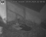 Capi_Dubne_20250510_225002.jpg
