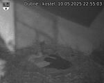 Capi_Dubne_20250510_225503.jpg