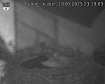 Capi_Dubne_20250510_231003.jpg