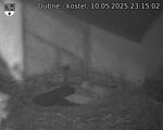 Capi_Dubne_20250510_231502.jpg