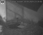 Capi_Dubne_20250510_233502.jpg