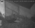 Capi_Dubne_20250510_234003.jpg